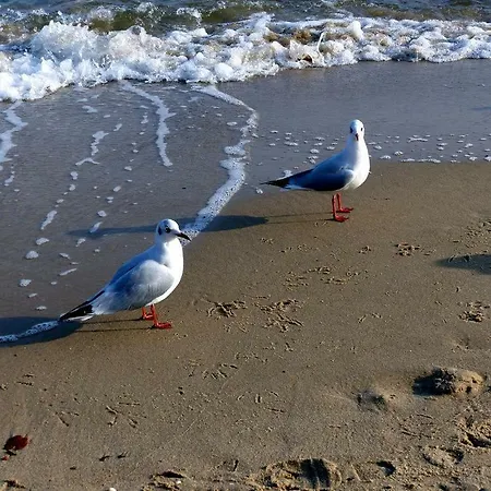 14 - Sofia Haus Huehnergott Appartement
