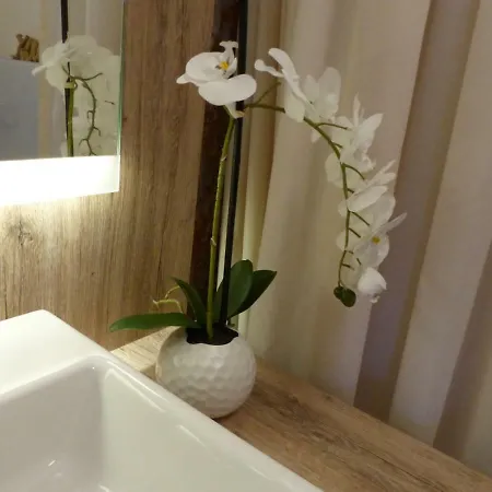 Appartement 14 - Sofia Haus Huehnergott *